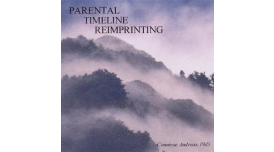 parental-timeline-reimprinting-connirae-andreas-1